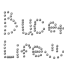 Bucket life logo