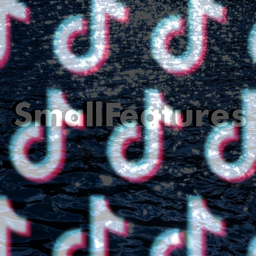 smallfeatures logo