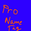 ProNameTag logo