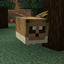 Beevee Pack logo