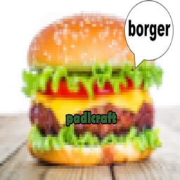 PADLCraft logo