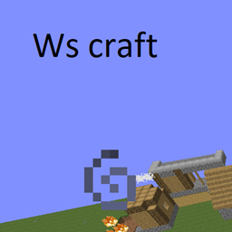 ws craft project image