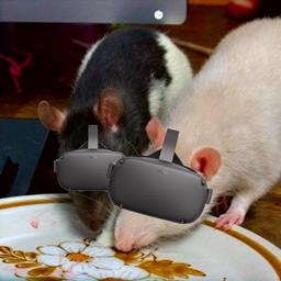 RatPack VR-KS logo