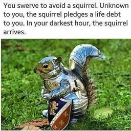 It's The Work Of A Maddd Squirrel Tamer I Tell You! project image