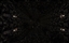 Escape From World End. logo