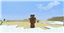 B0bGary's Dirt Armour! logo