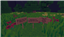 Boxed Survival logo