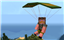 Parachute Mod avatar