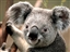 MartEd logo