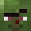 Zombie Villager variantz texture logo