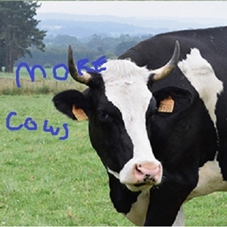 More Cows logo