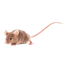 Avatar and rat logo