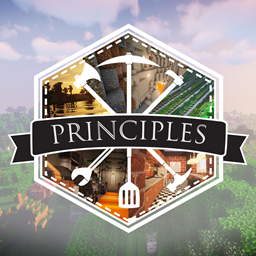 Principles project image