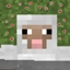 SheepVSheep Edit