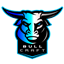 Bullcraft Foundations logo