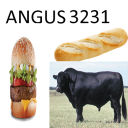 ANGUS3231 logo