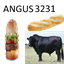 ANGUS3231 logo