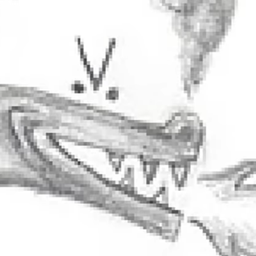 Drogtor the Nickinator logo