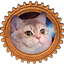 Comfylatron uses Create! logo