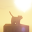 [Official] Unknown Adventure logo
