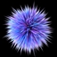 Quantum Connection logo