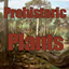 Prehistoric Plants logo