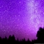 The Tainted Curse logo
