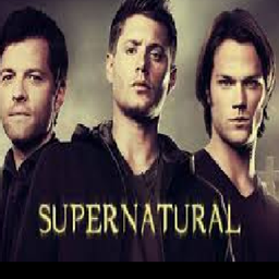 SupernaturalMC project image