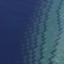 Tropical Island Survival logo