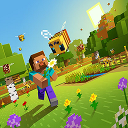 PlayCraftium v1 project image