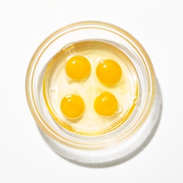EggaCraft logo
