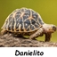 Danielito logo