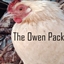 The Owen Pack logo