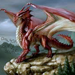 dragon and other stuff project image