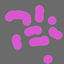 Oak's Simple Ore Mod (DISCONTIUNED) logo