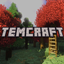 TemCraft logo