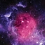 Universal logo
