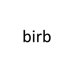 Chonky Parrots logo