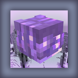 WTDimensions logo