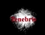 Tenebris logo