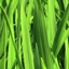SuperPlantationCraft logo