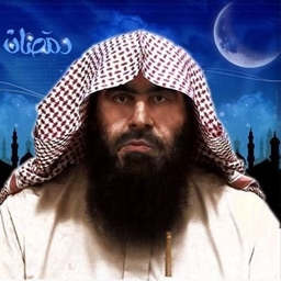 ATTACK OF ABO ELBARA project image