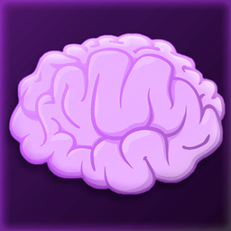 Big Brainer project image