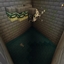 Better Silverfish Drops logo