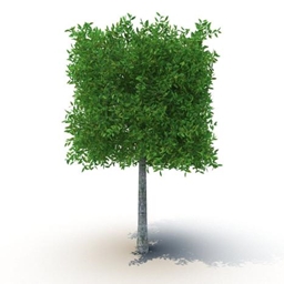 Project Eco travel project image