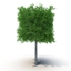 Project Eco travel logo