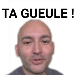 Les pros du Cube logo