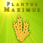PlantusMaximus logo