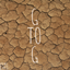 GtoG2 logo