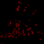 Cursed Mod logo
